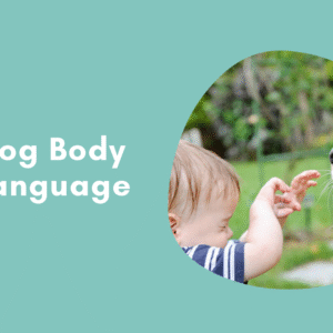 Dog Body Language