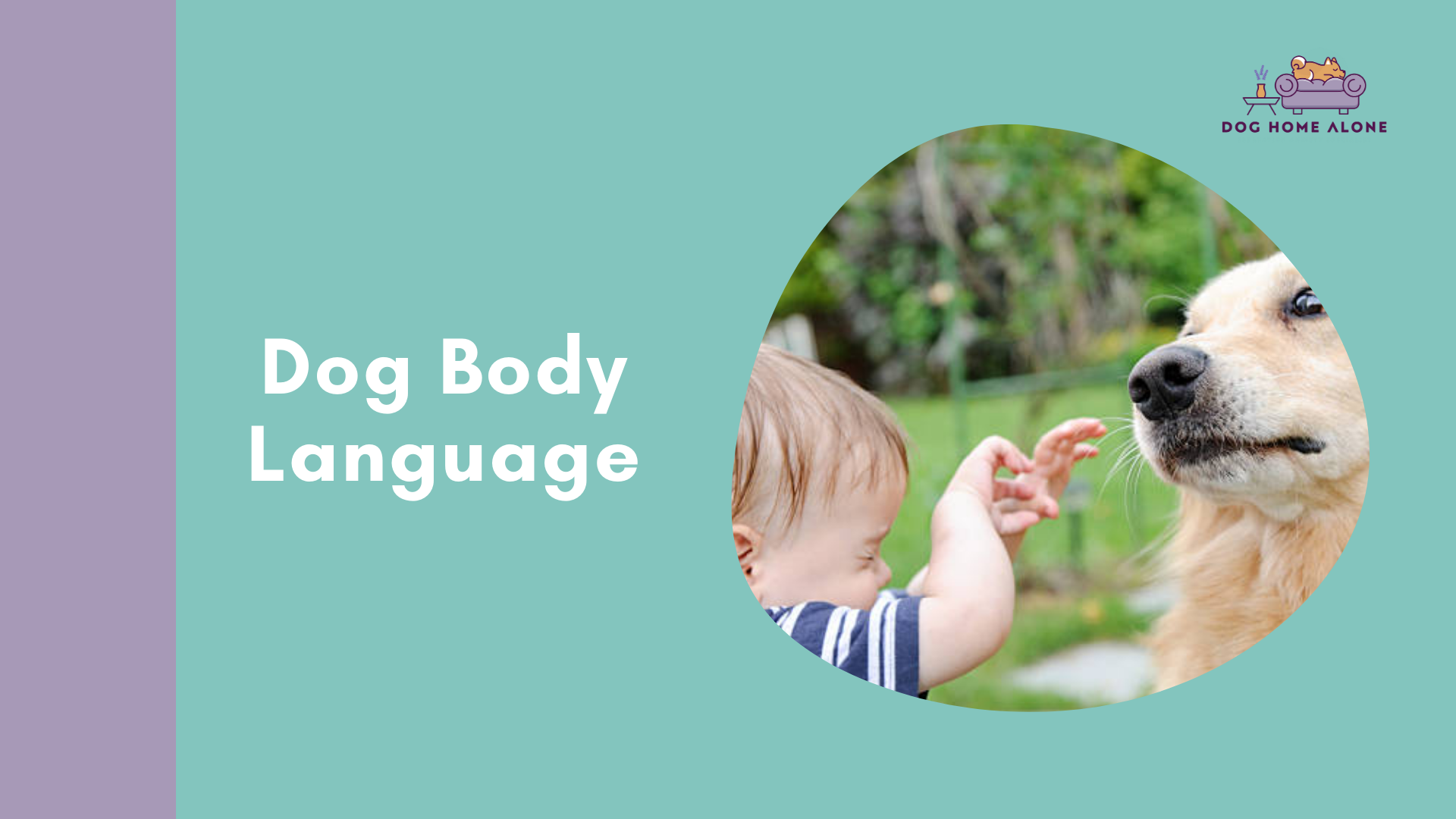 Dog Body Language Mastery