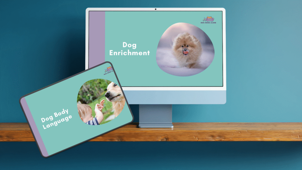 Dog Home Alone - online dog training separation anxiety